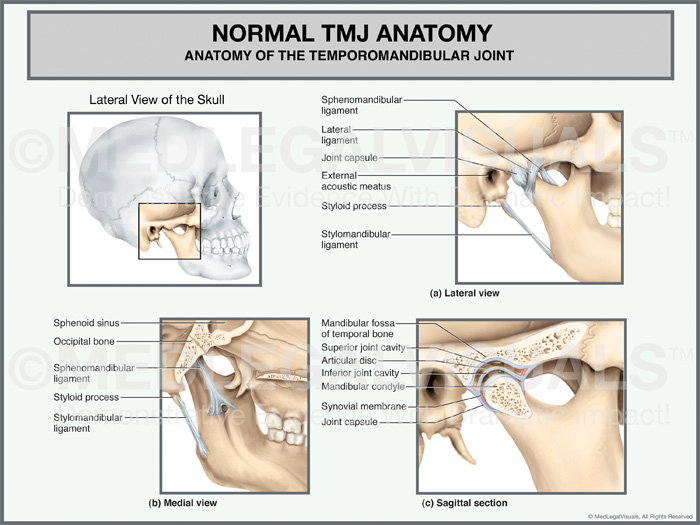 Premier Law Group, PLLC Renton, WA Office