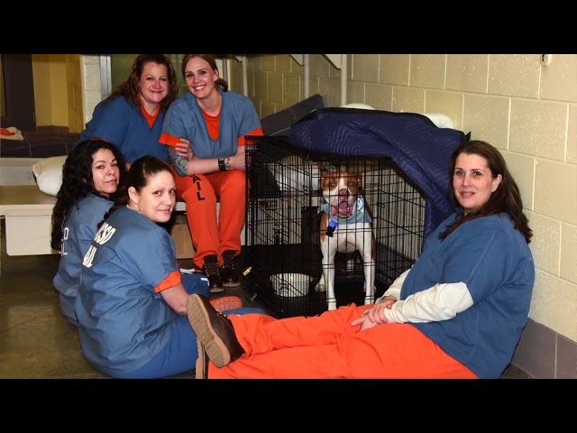 Norman Dowler, LLP Ventura, CA Office