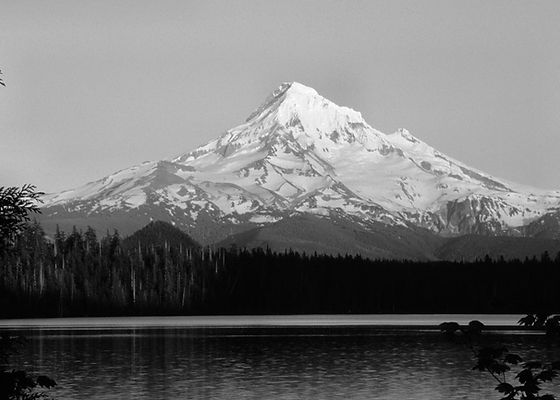 Brindle McCormack, P.C Hillsboro, OR Office