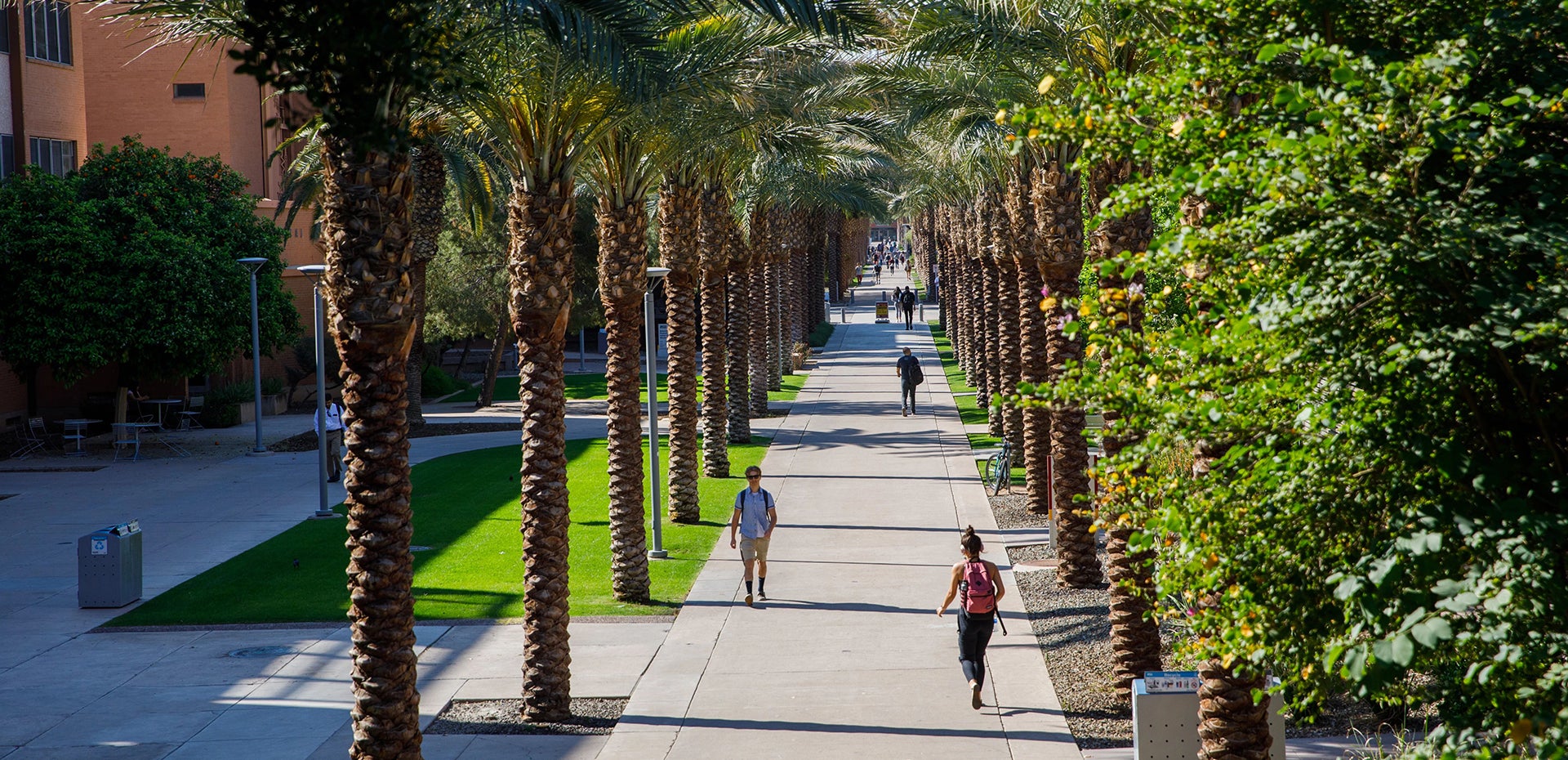 Aaron Green Law Phoenix,  Office