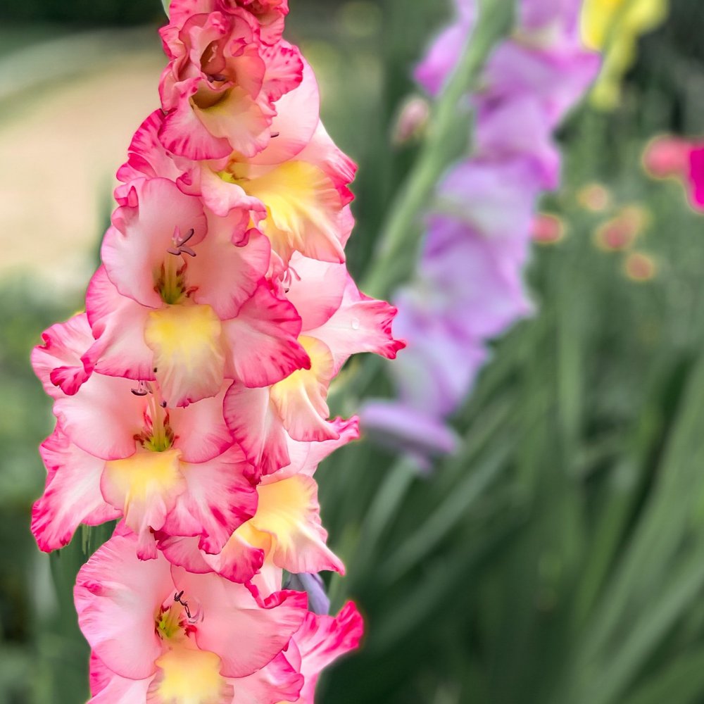 Five Valleys Law, P.L.L.C Missoula,  Office