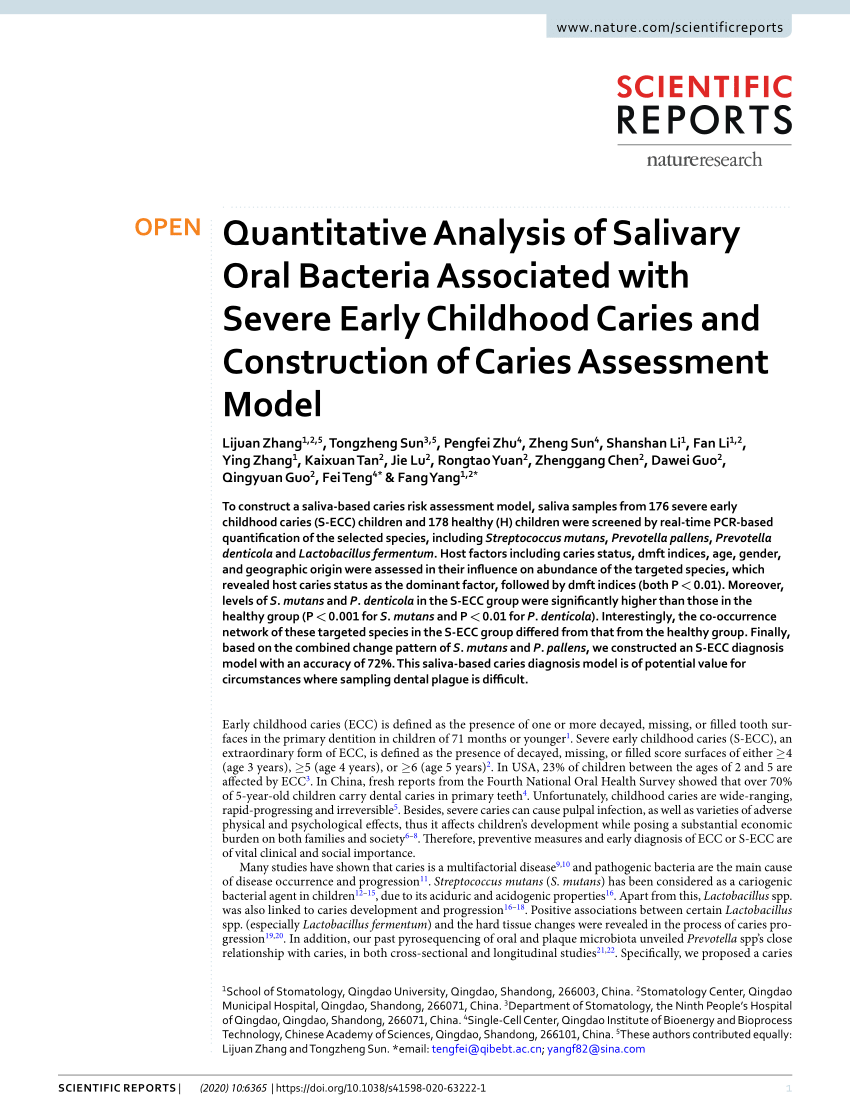 Wang Jing & Co Qingdao, China Office