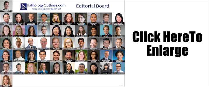 Our Advocate LLC Bingham Farms,  Office