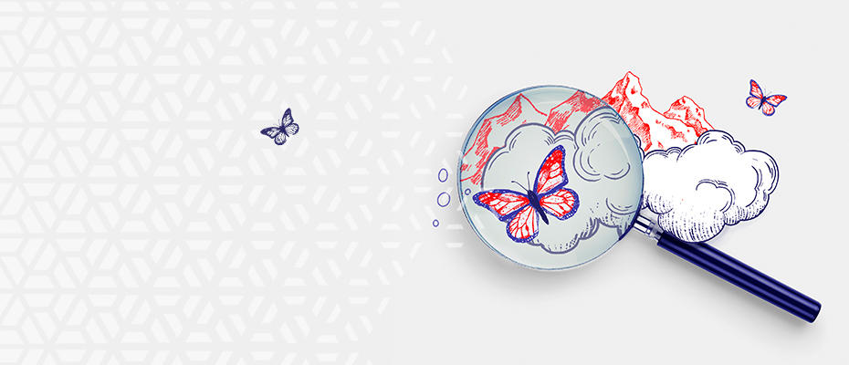 Cuelenaere LLP Saskatoon, Canada Office