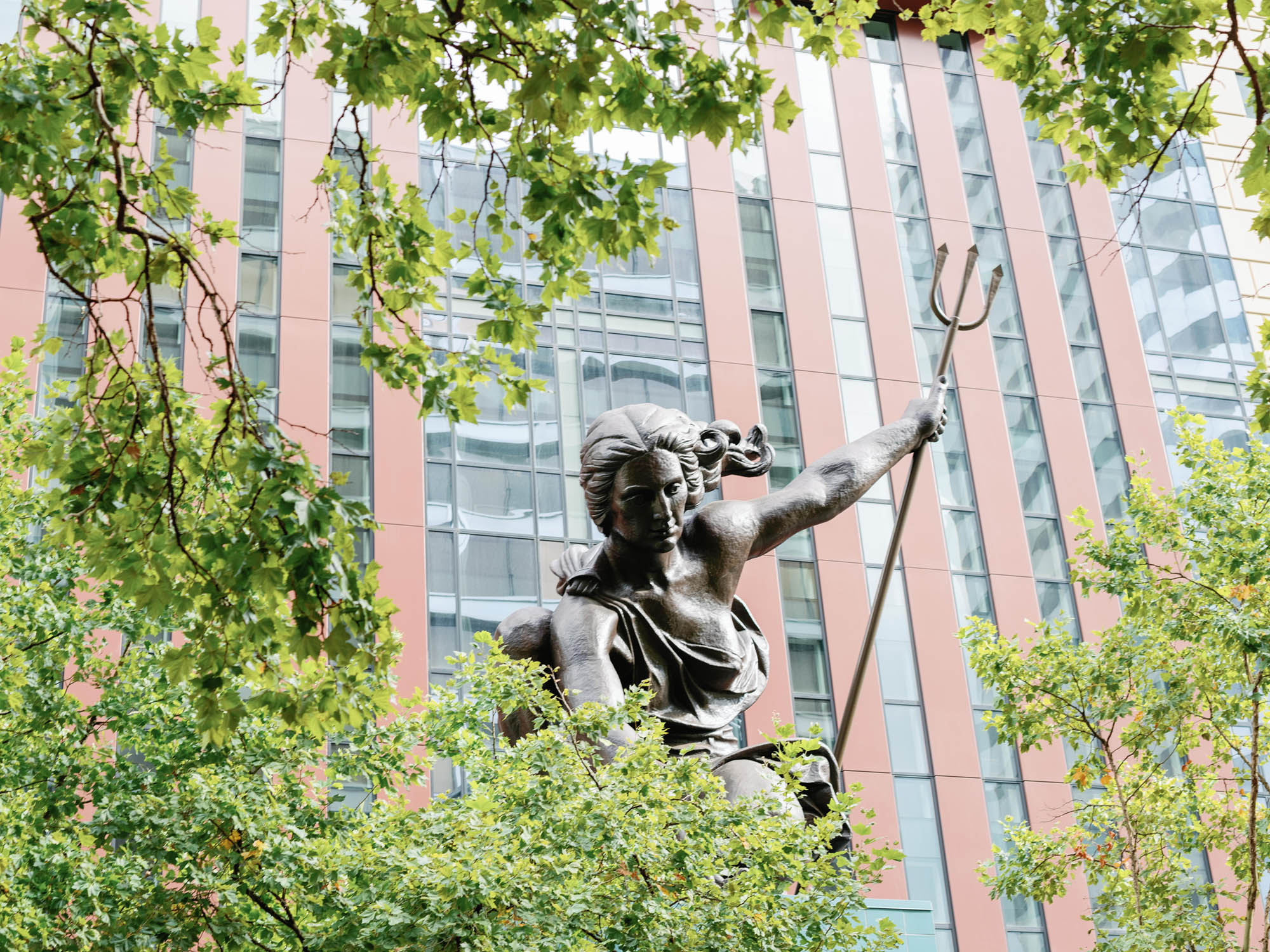 Roy Law Group Portland,  Office