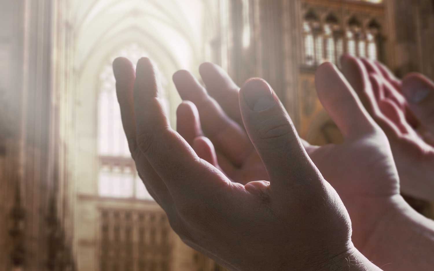 Aceves & Perez, P.C Chicago,  Office