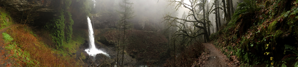 McDowell Rackner Gibson PC Portland,  Office