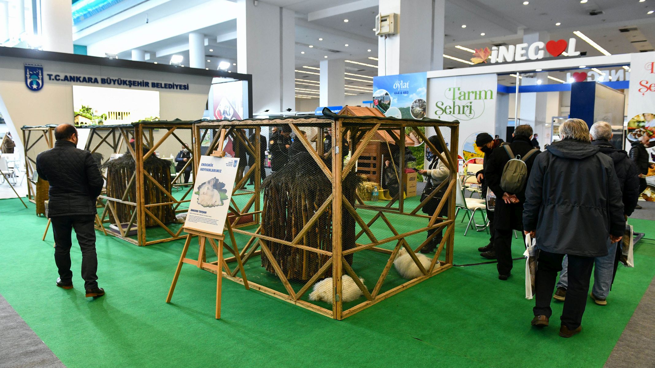 Cukur & Yilmaz Mersin, Turkey Office