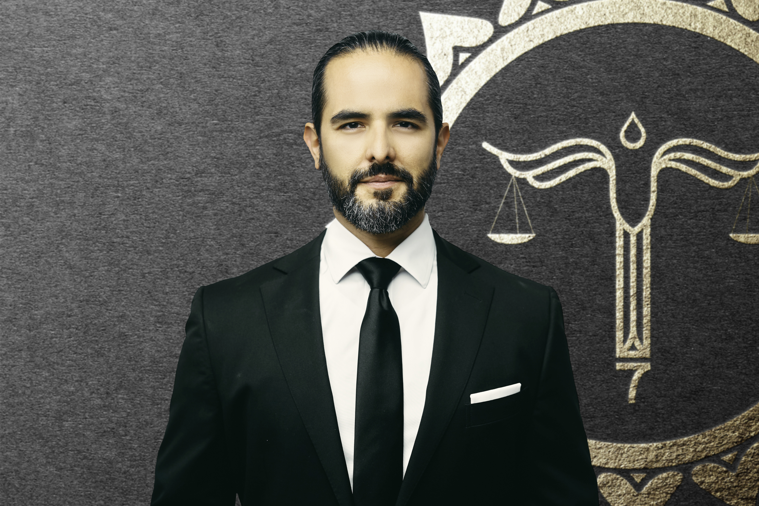 Tijerina Legal Group P.C McAllen,  Office