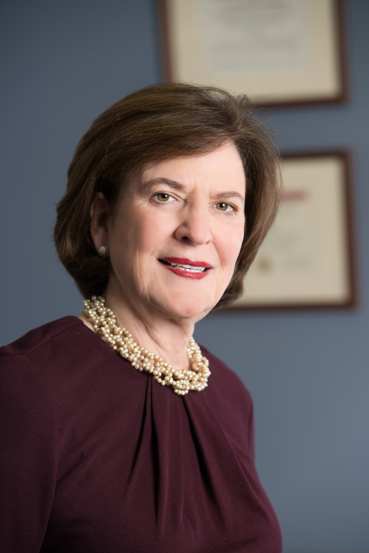 Kelly Law Offices LLC Schererville, IN Office