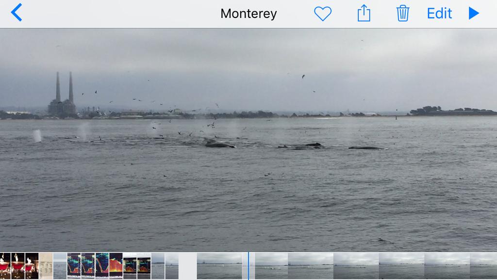 Davis Shapiro Lewit Grabel & Leven, LLP Beverly Hills, CA Office