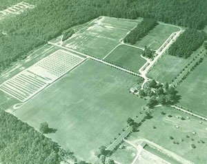 Gertner & Mandel, LLC Jackson,  Office