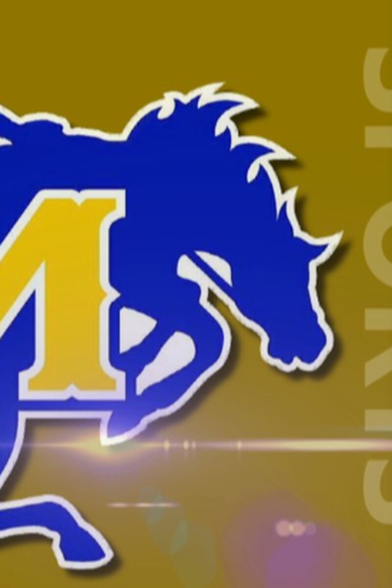 Plauche Smith & Nieset, LLC Lake Charles, LA Office