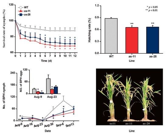 Lehman, Lee & Xu Guiyang, China Office