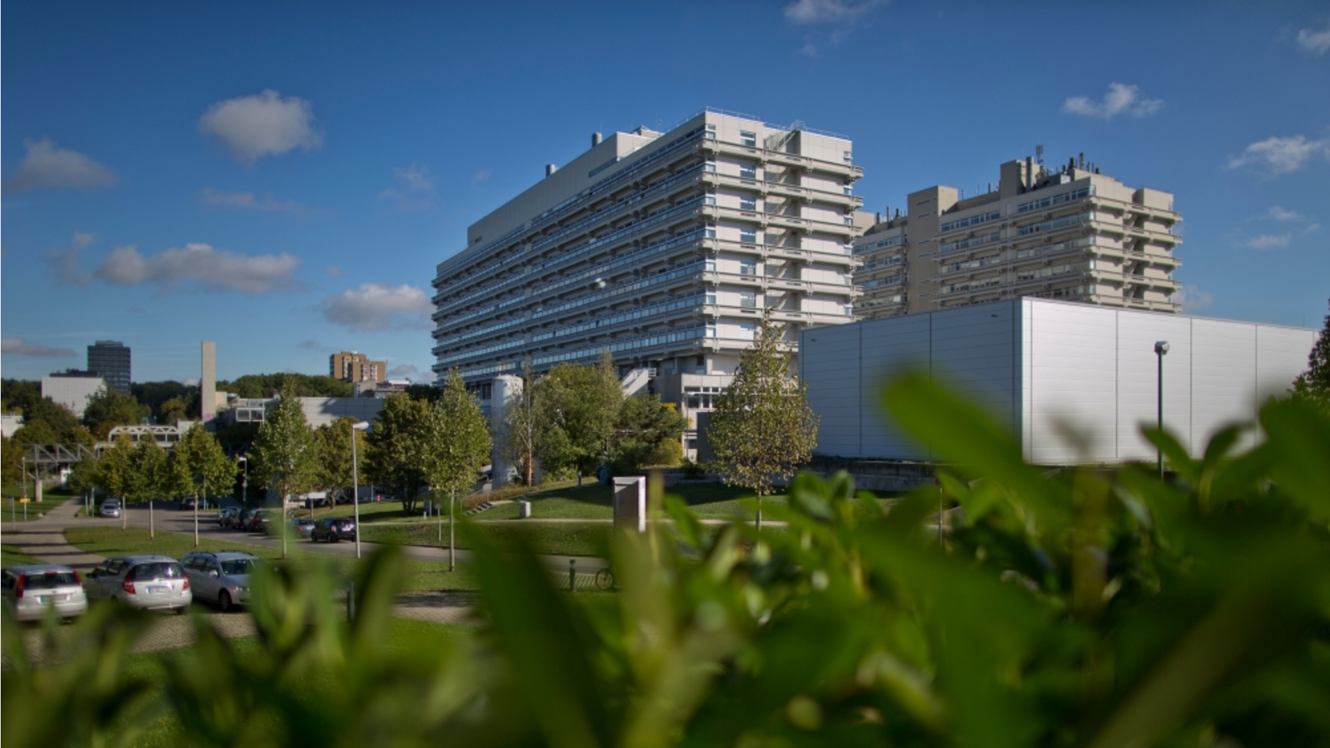 Witte, Weller & Partner Stuttgart, Germany Office