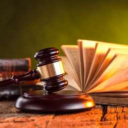 Sinunu Bruni, LLP San Francisco, CA Office