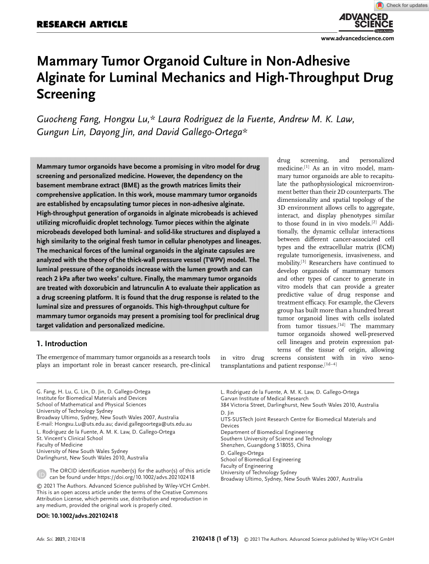 Global Law Office Shenzhen, China Office