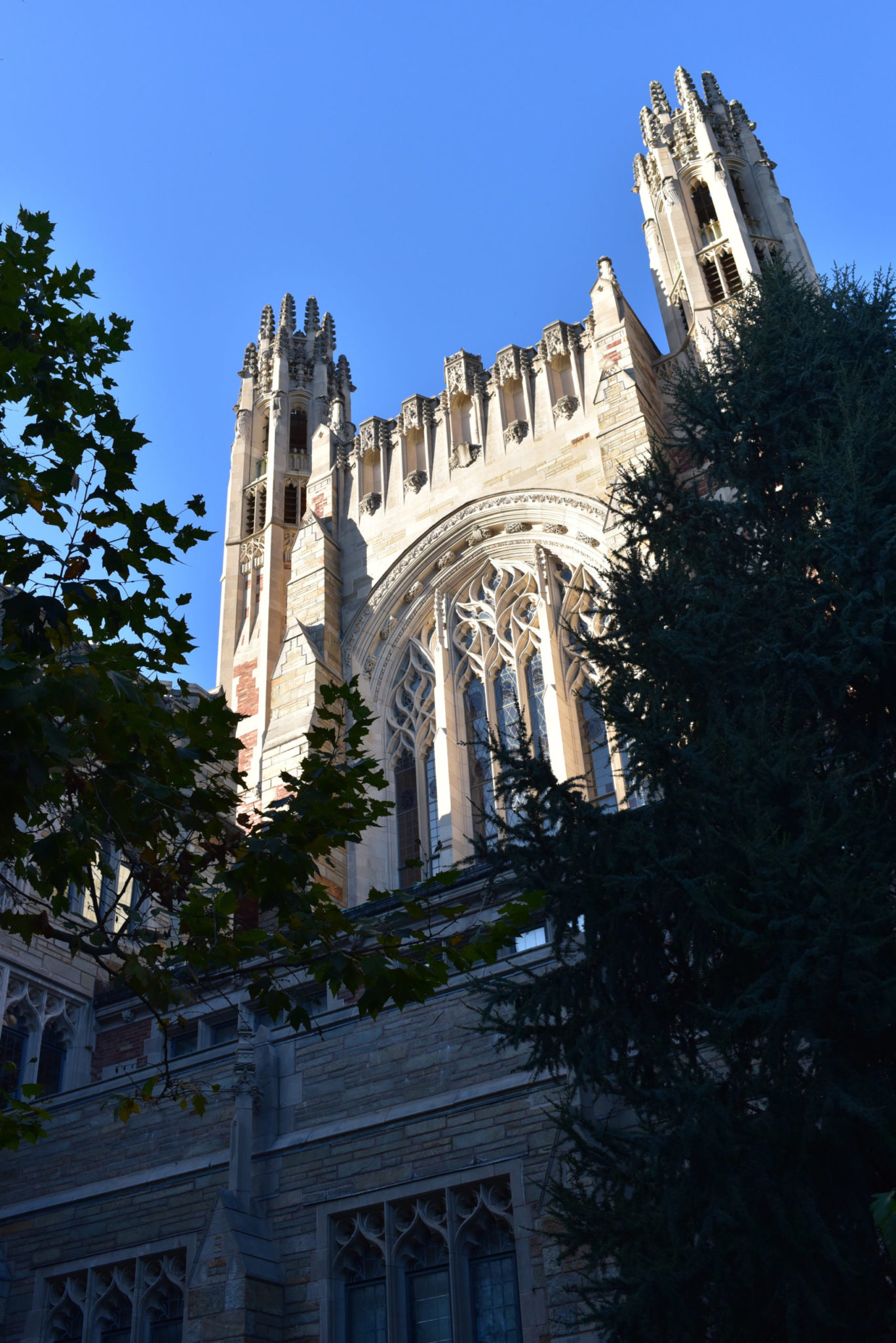 Ryan & Ryan, LLC New Haven, CT Office