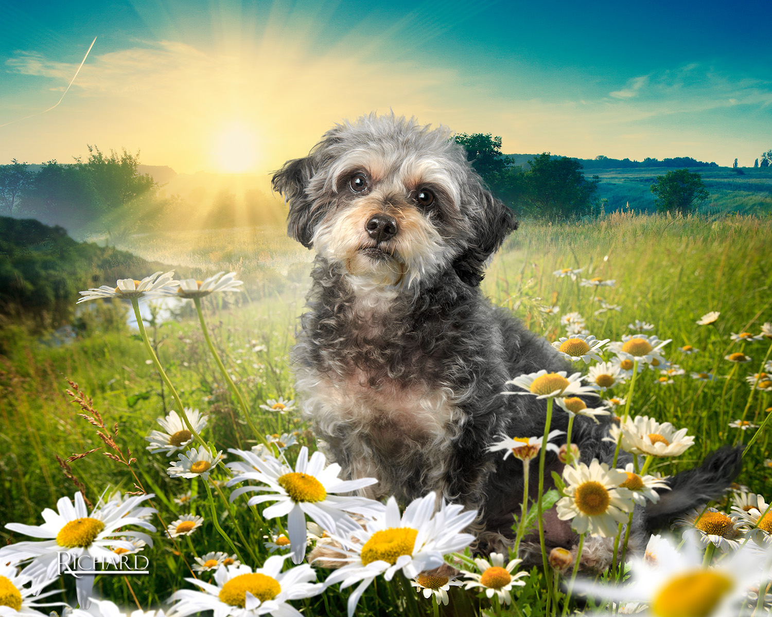 Hegwood Law Group Houston, TX Office