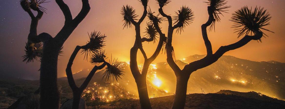 Erskine Law Mission Viejo, CA Office