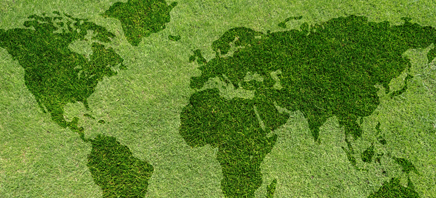 Watson Farley & Williams LLP Rome, Italy Office