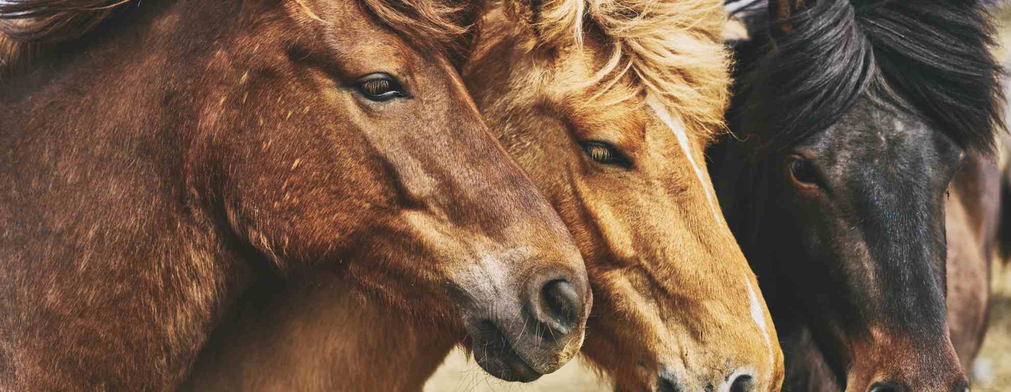 Fitzpatrick Mariano Santos Sousa P.C Naugatuck, CT Office