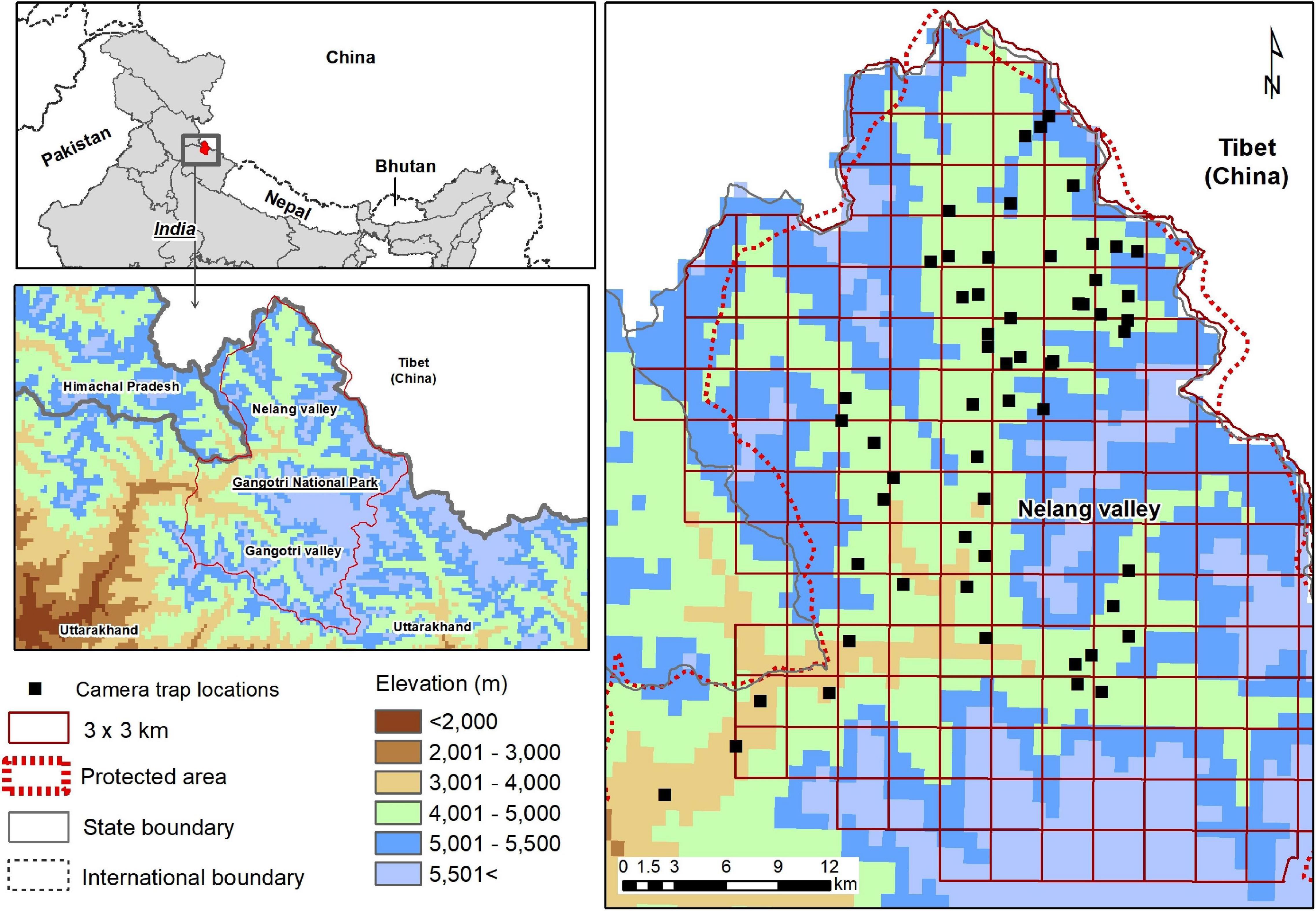 Magnusson Warsaw, Poland Office