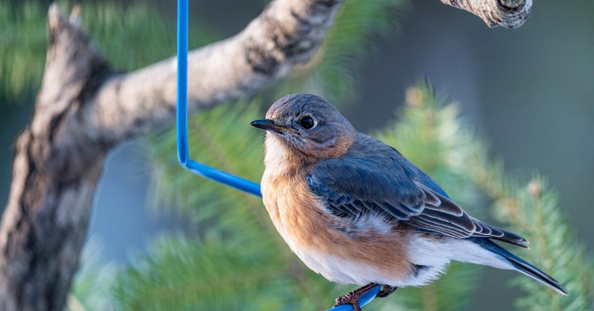 Wladis Law Firm East Syracuse, NY Office