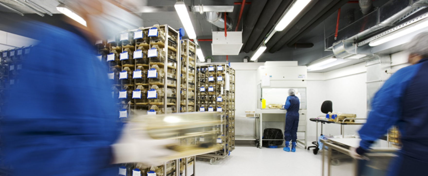 Uribe, Hubner & Canales Santiago, Chile Office