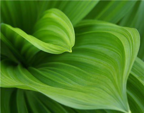 Dentons Milton Keynes, UK-England Office