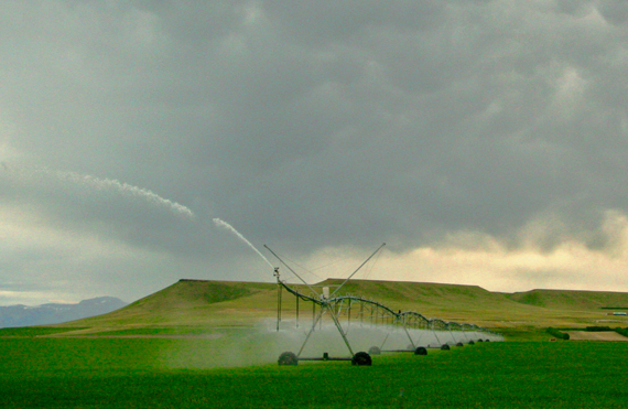 Ferguson Law Office, PLLC Missoula,  Office