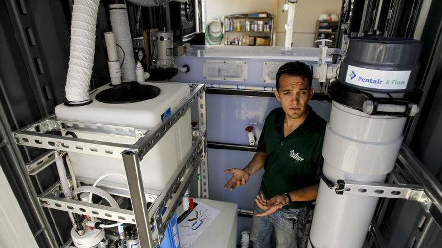 Patent CEO,LLC Tampa, FL Office