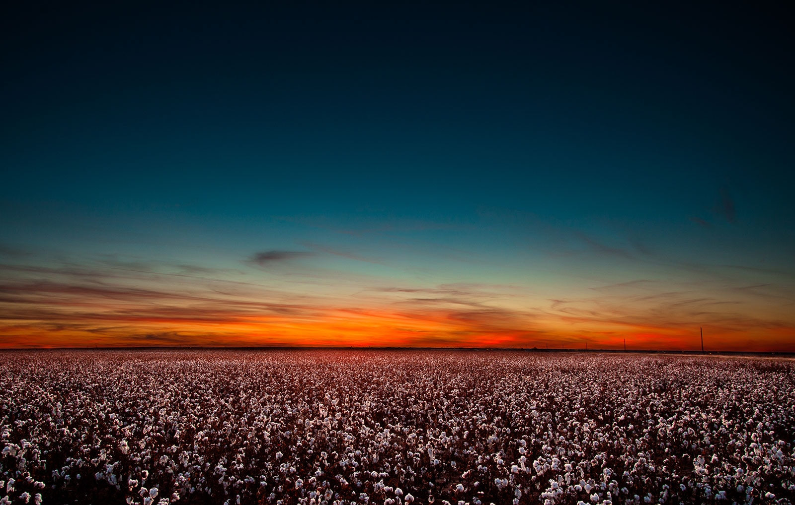 Field, Manning, Stone, Hawthorne & Aycock PC Lubbock, TX Office