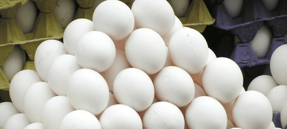 Rhine Law Firm, PC Wilmington, NC Office