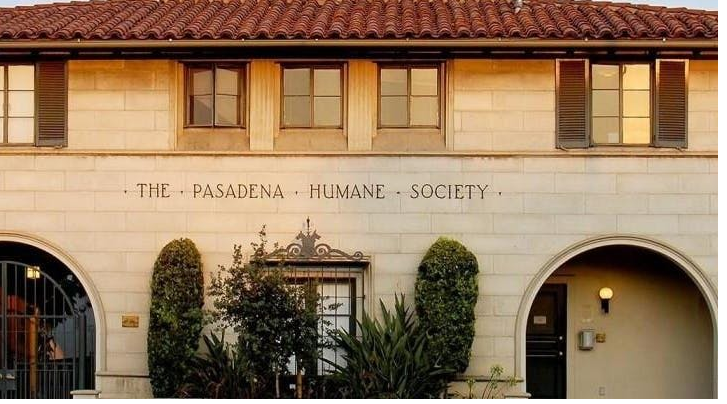 Stone Busailah, LLP Pasadena, CA Office