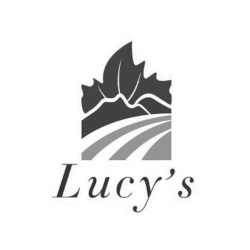 Murchison Thomson & Clarke LLP Surrey, Canada Office