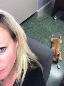 Charles Boyk Law Offices, LLC Swanton, OH Office