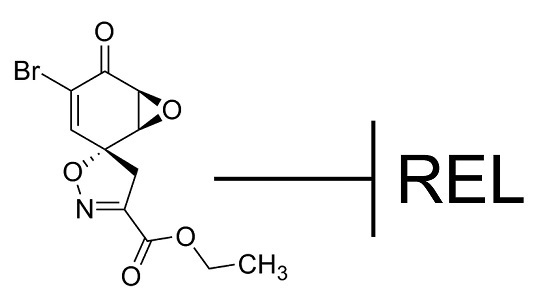 Lehman, Lee & Xu Jiangxi, China Office