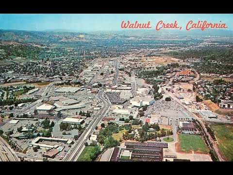 Whiting, Ross, Abel & Campbell, LLP Walnut Creek, CA Office