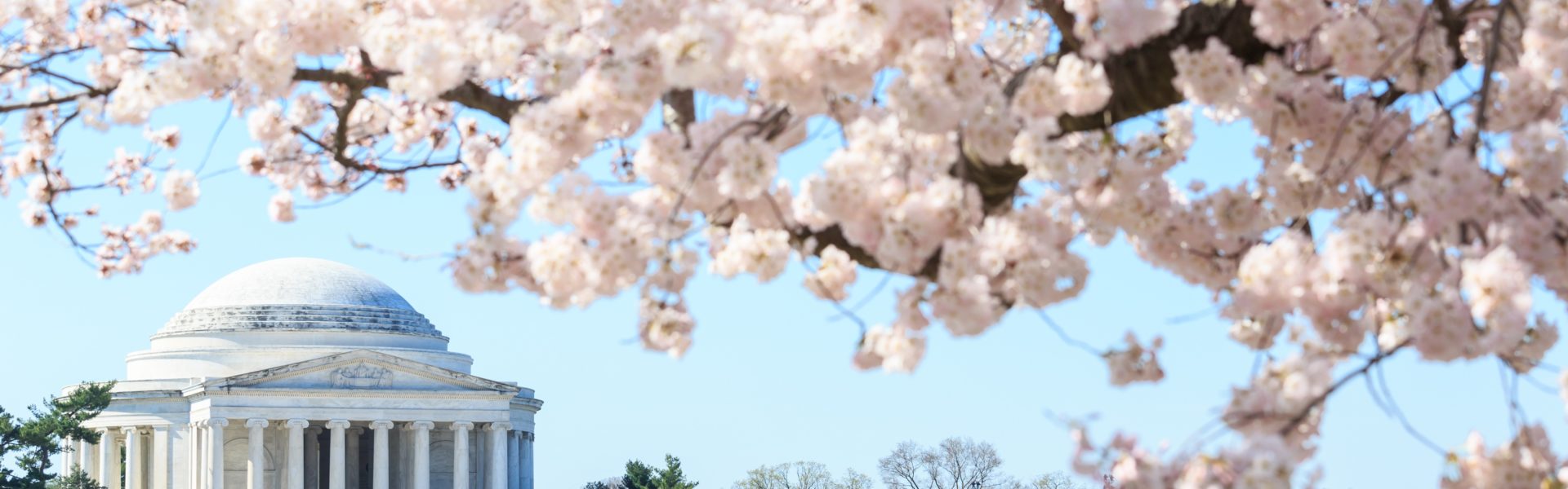 Buonassissi, Henning & Lash, P.C Reston, VA Office