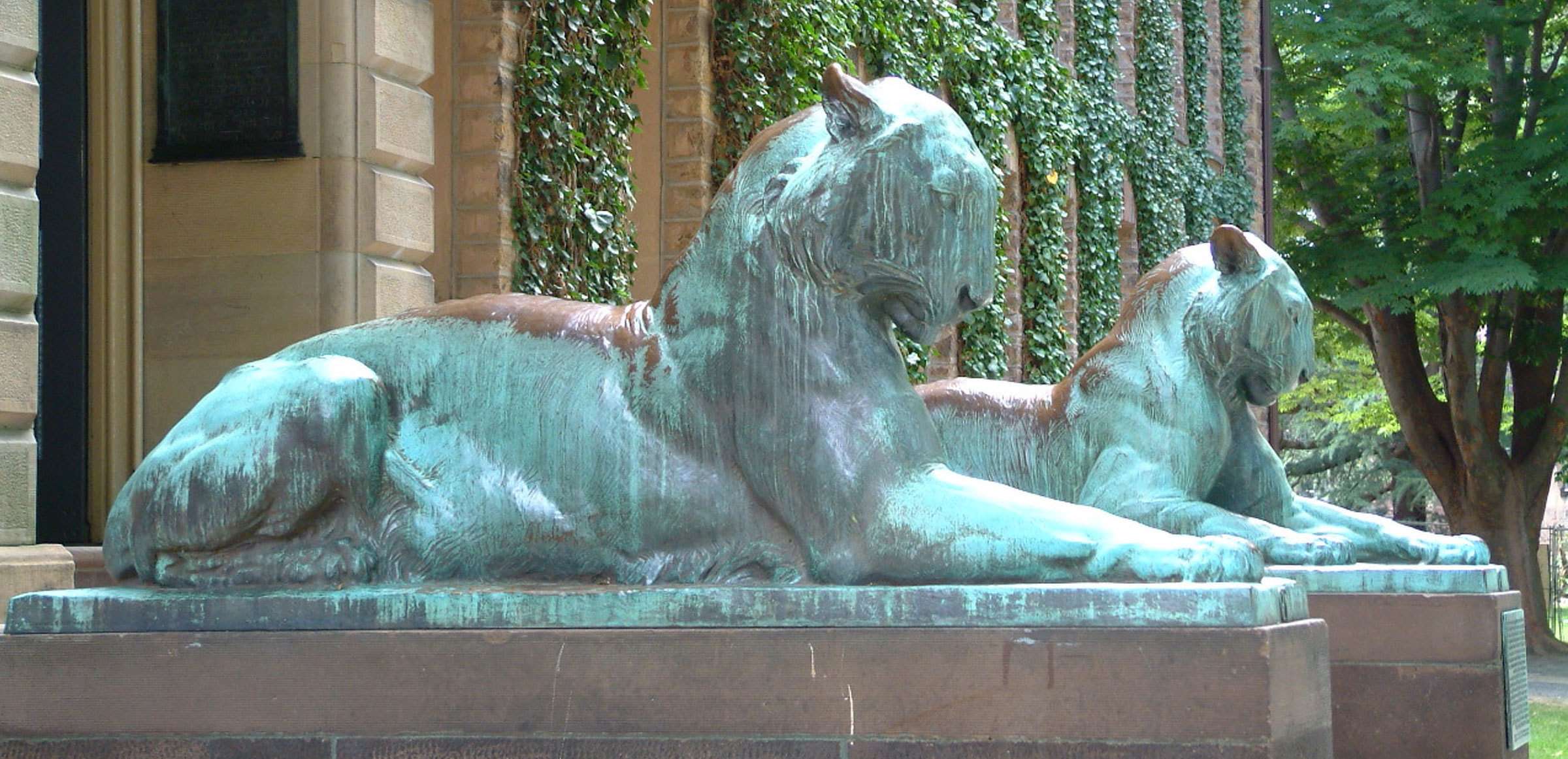 Connell Foley Spring Lake, NJ Office