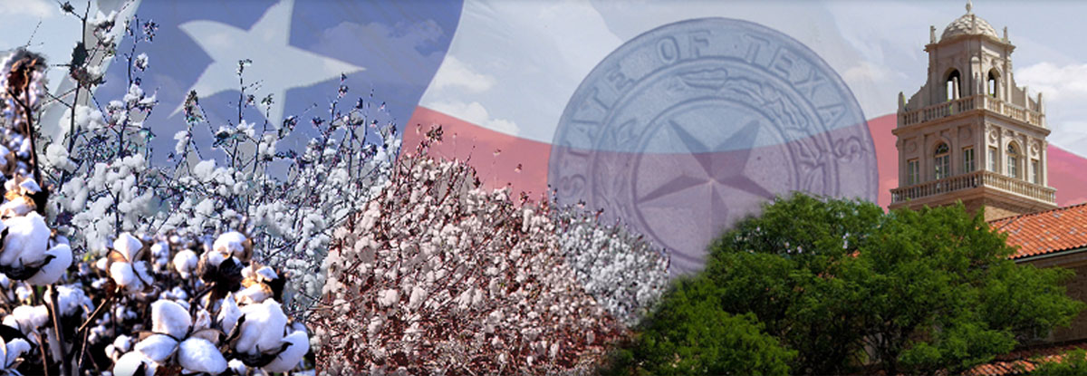 Bustos Law Firm, P.C Lubbock,  Office