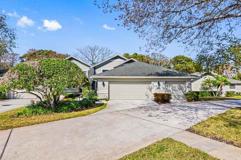 Zinzow Law, LLC Palm Harbor, FL Office