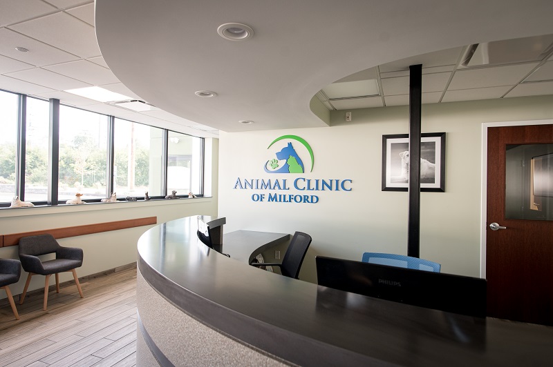 IP Attorneys Group, L.L.C Milford, CT Office