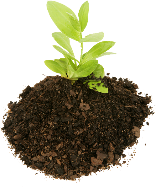 Montgomery, Elsner & Pardieck, LLC Madison, IN Office