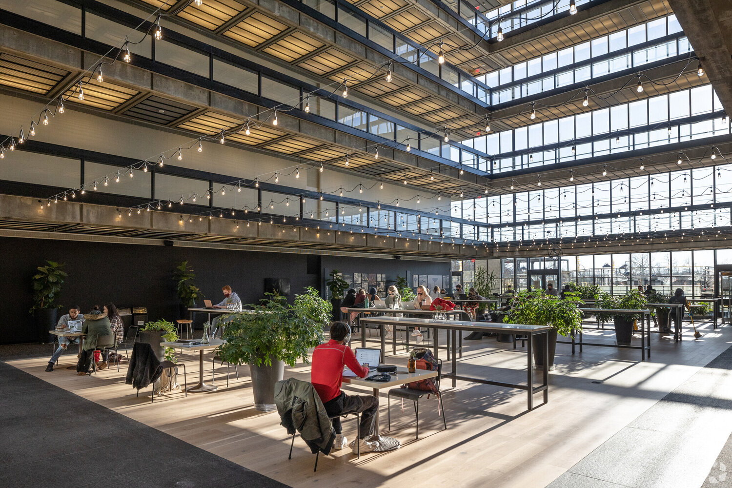 NPZ Law Group New York City, NY Office