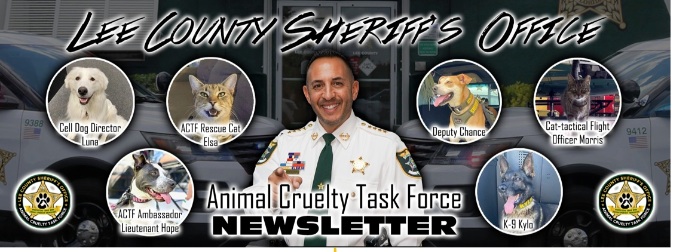 Morris Law Firm, P.A Cape Coral,  Office