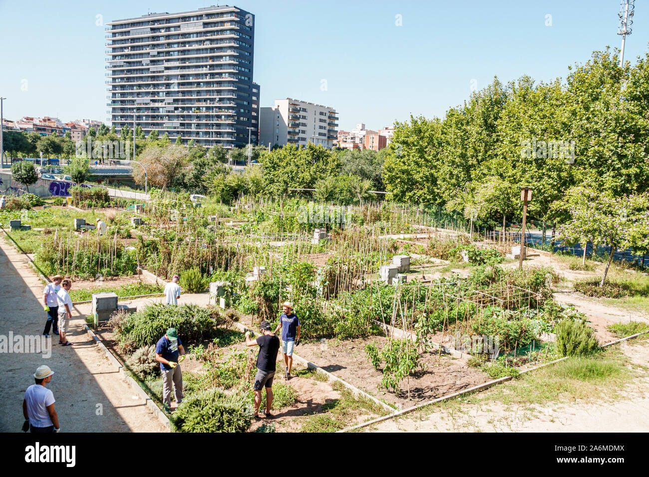 Pavia e Ansaldo Barcelona, Spain Office
