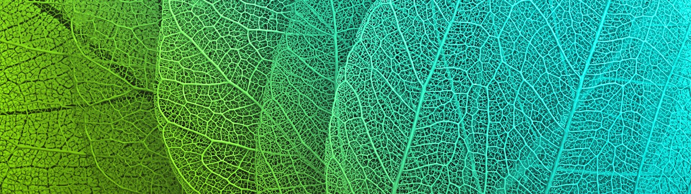 Bell Gully Wellington, New Zealand Office