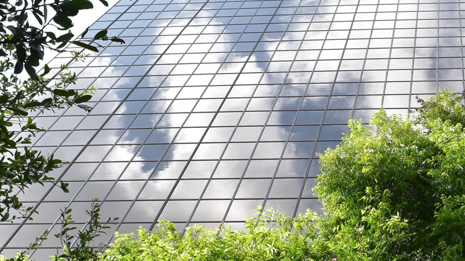 Caldwell East & Finlayson PLLC San Antonio, TX Office